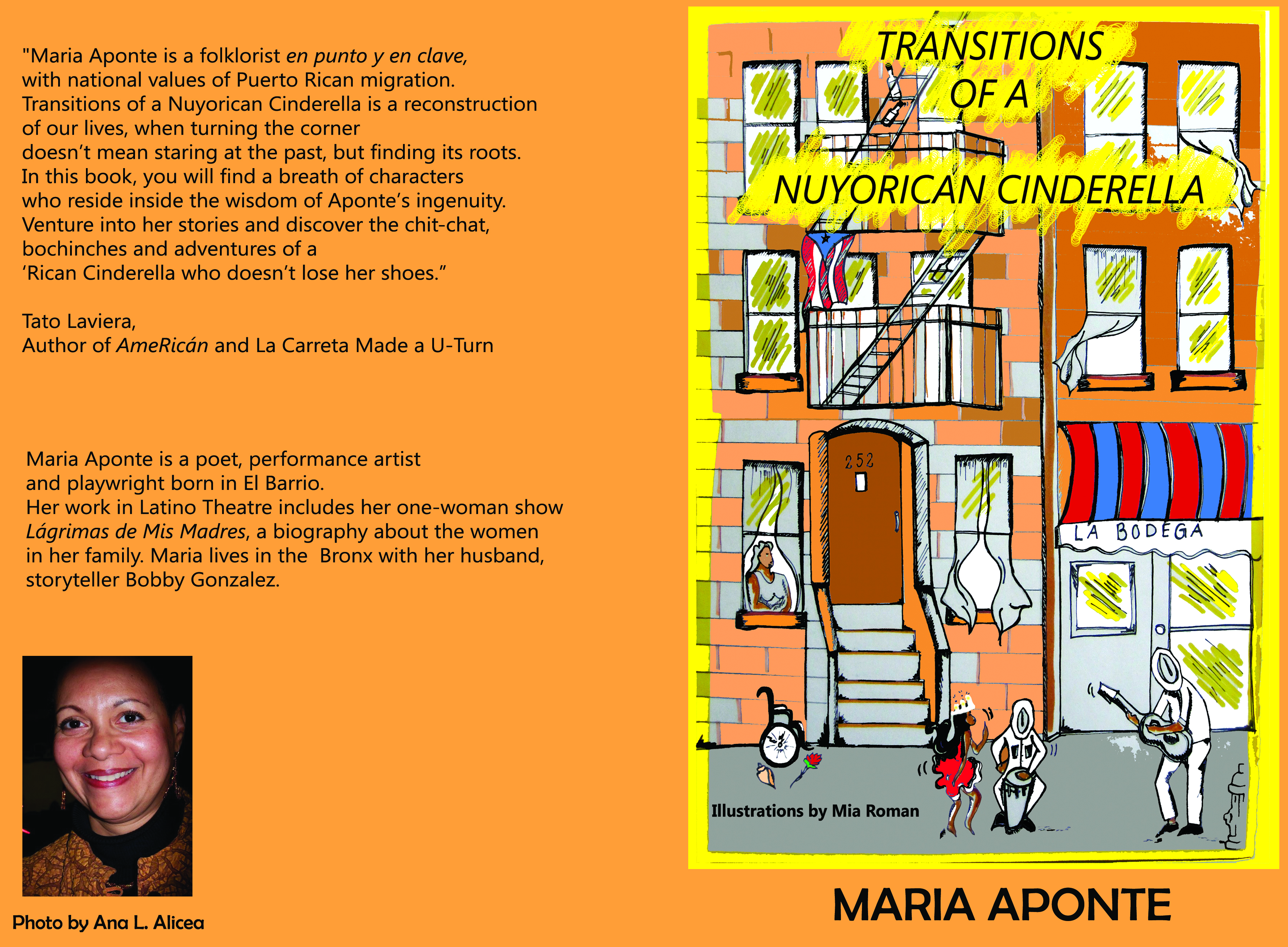 Transitions of a Nuyorican Cinderella Book Cover